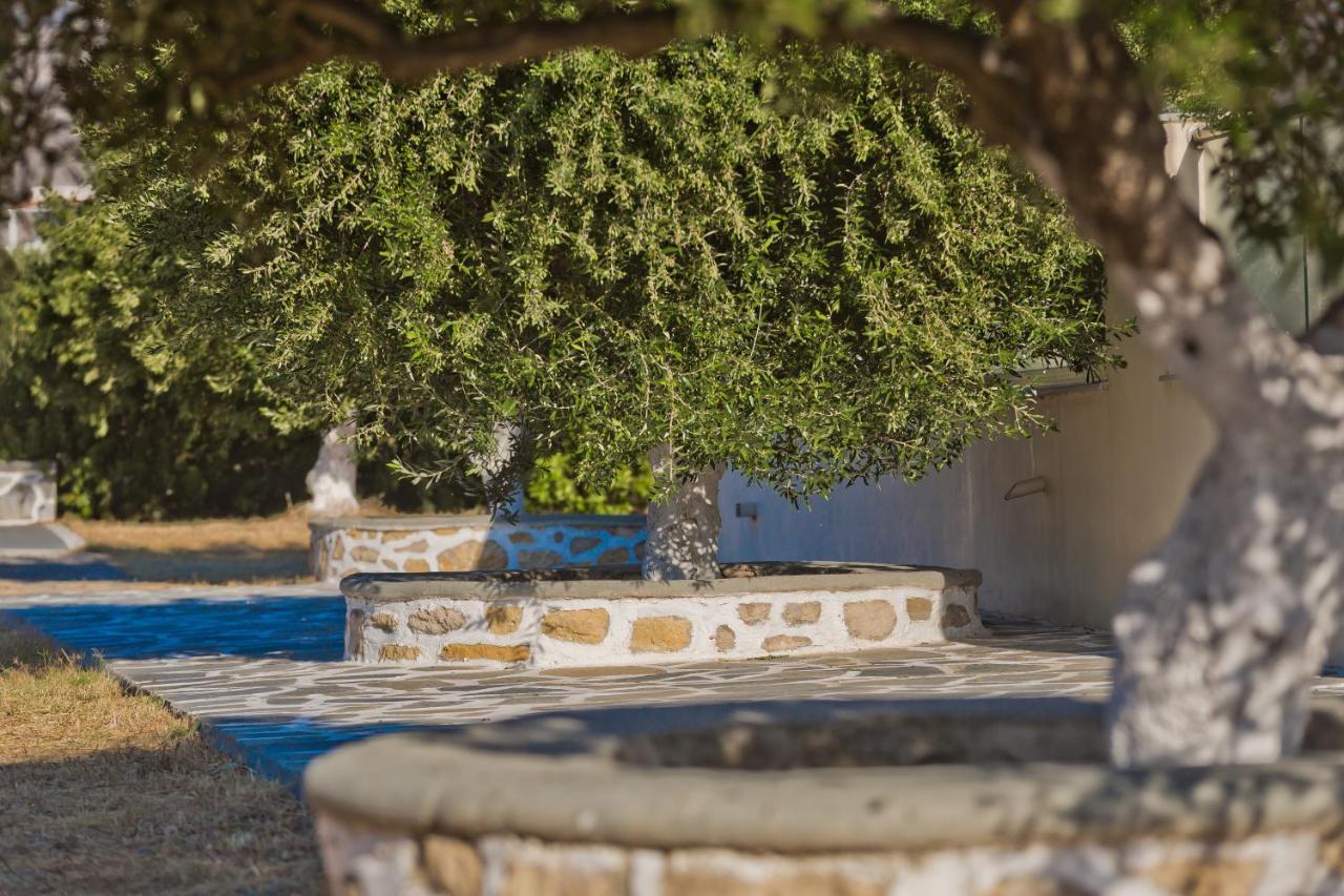Olive Studios Karpathos Studio #4 Exteriör bild