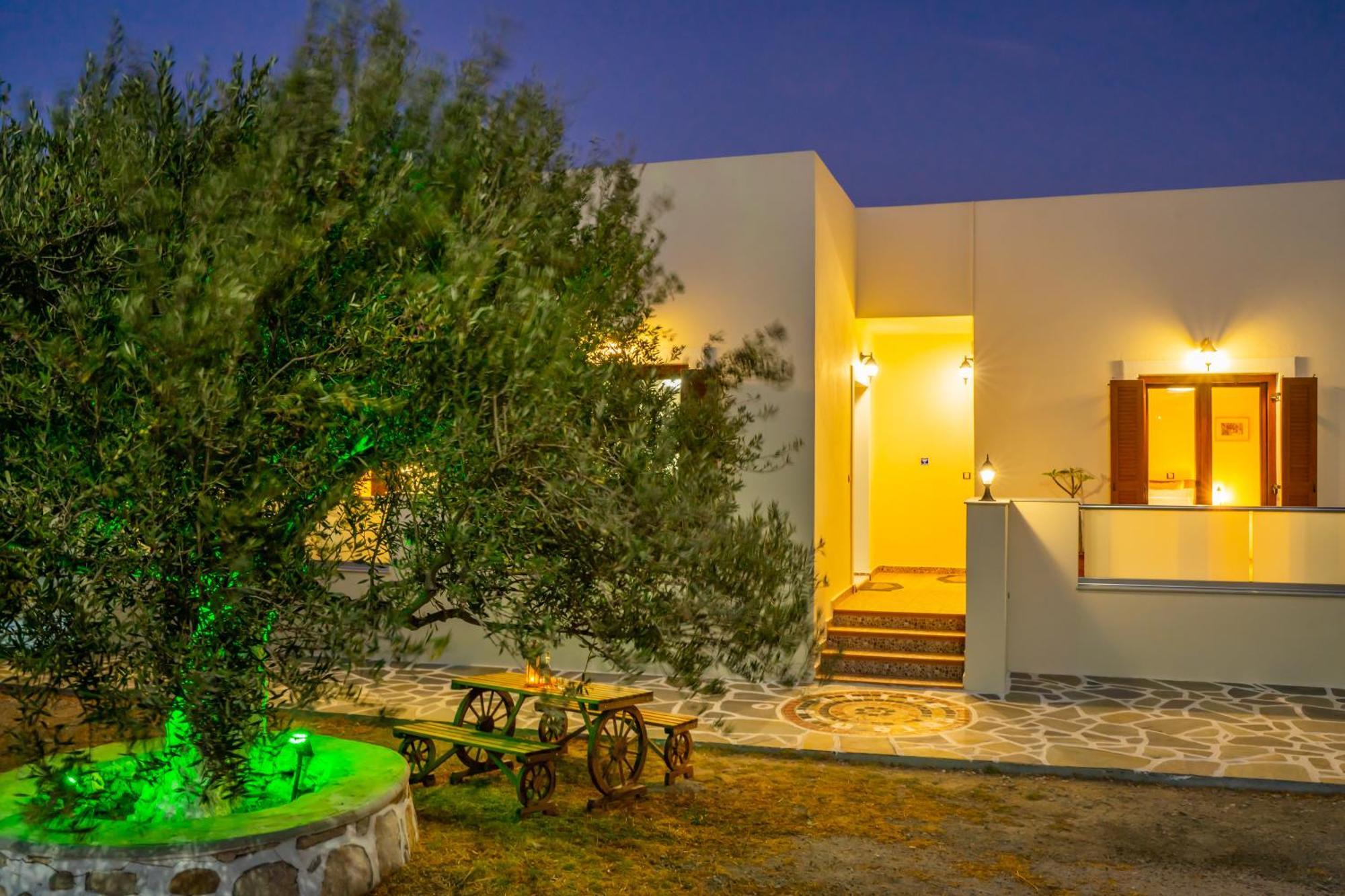 Olive Studios Karpathos Studio #4 Exteriör bild