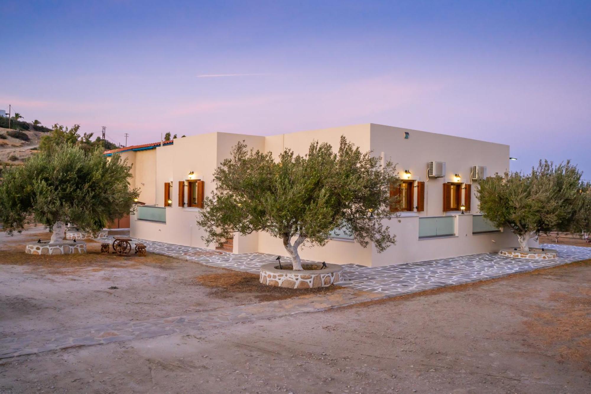 Olive Studios Karpathos Studio #4 Exteriör bild