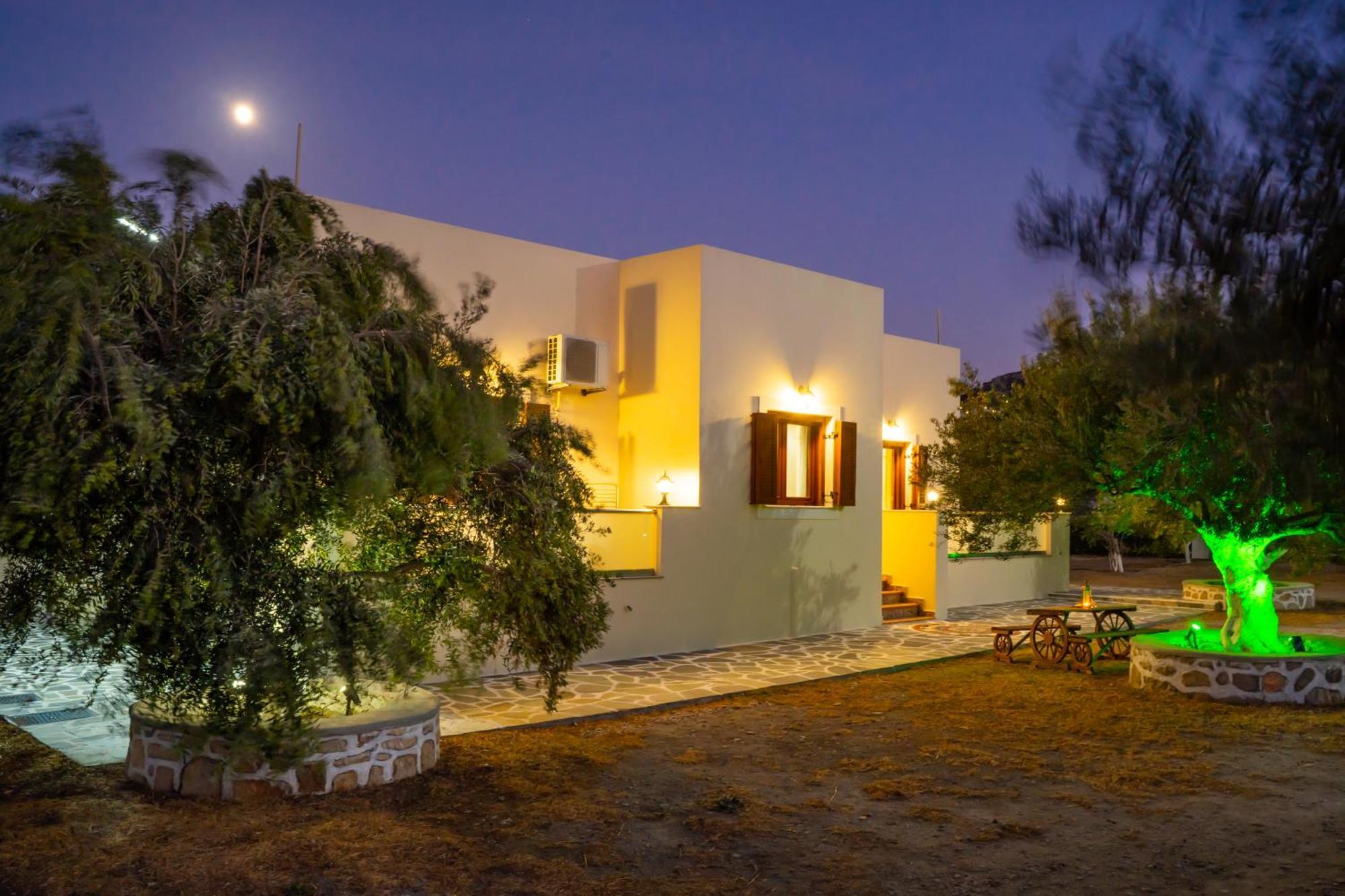 Olive Studios Karpathos Studio #4 Exteriör bild