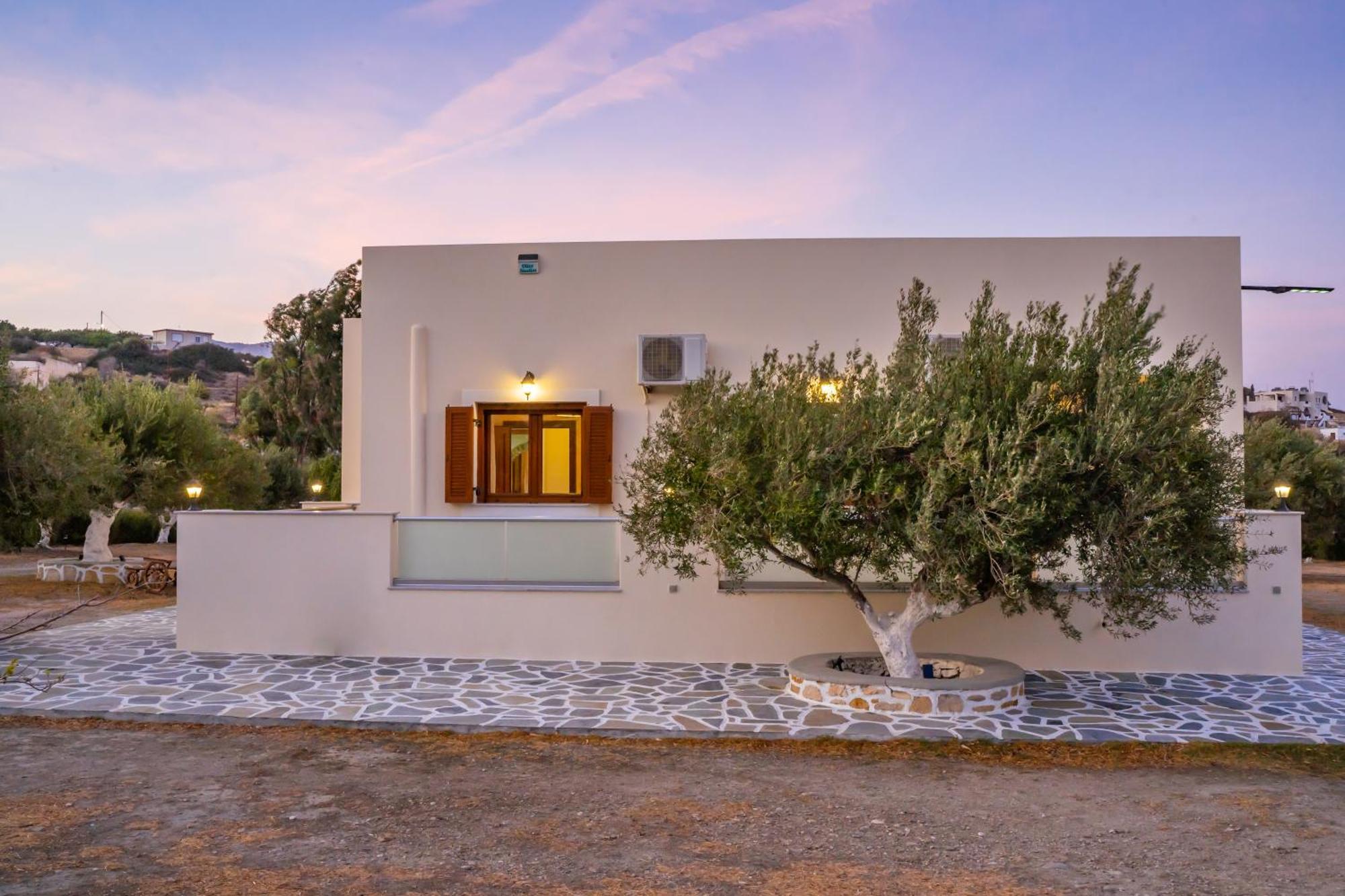 Olive Studios Karpathos Studio #4 Exteriör bild