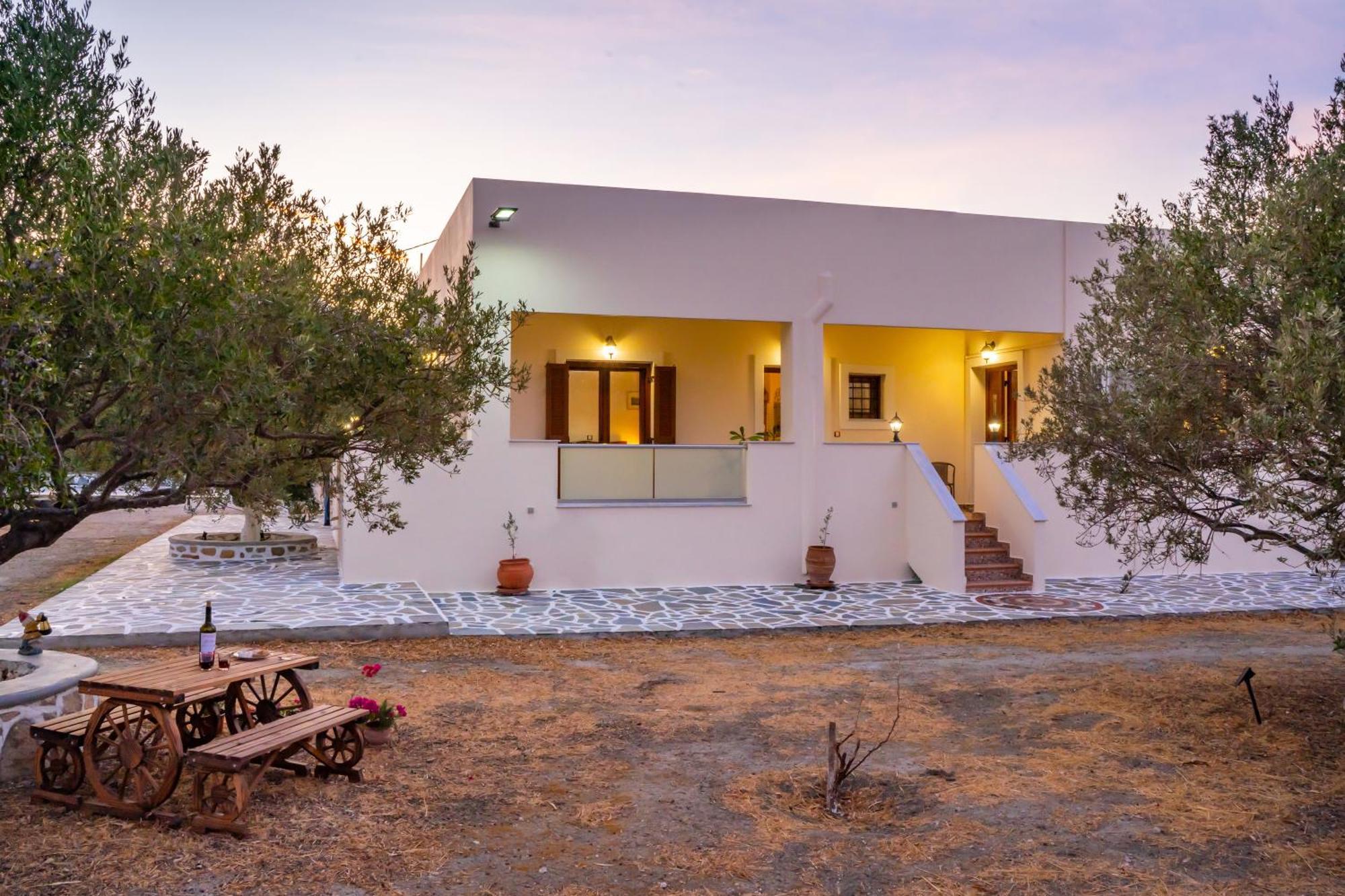 Olive Studios Karpathos Studio #4 Exteriör bild