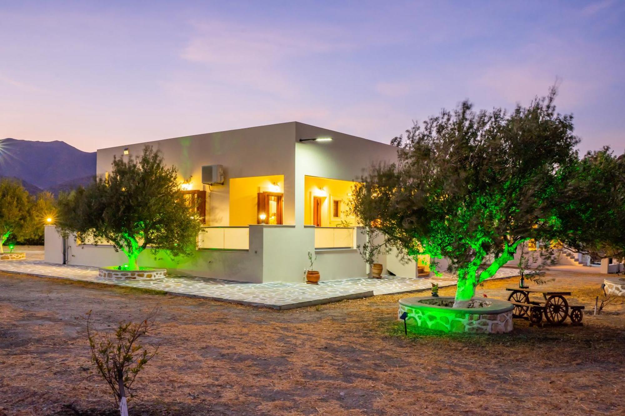 Olive Studios Karpathos Studio #4 Exteriör bild