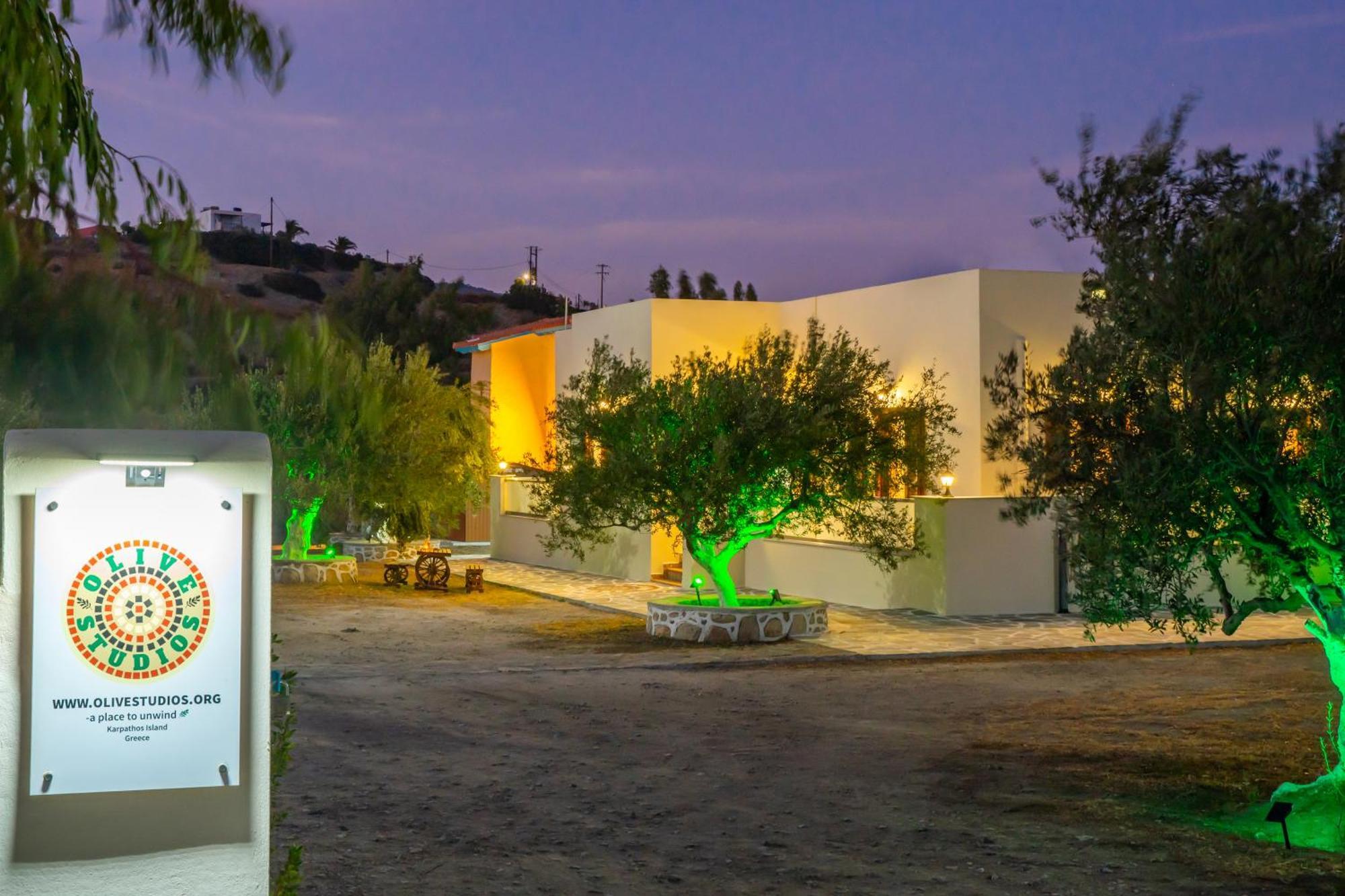 Olive Studios Karpathos Studio #4 Exteriör bild